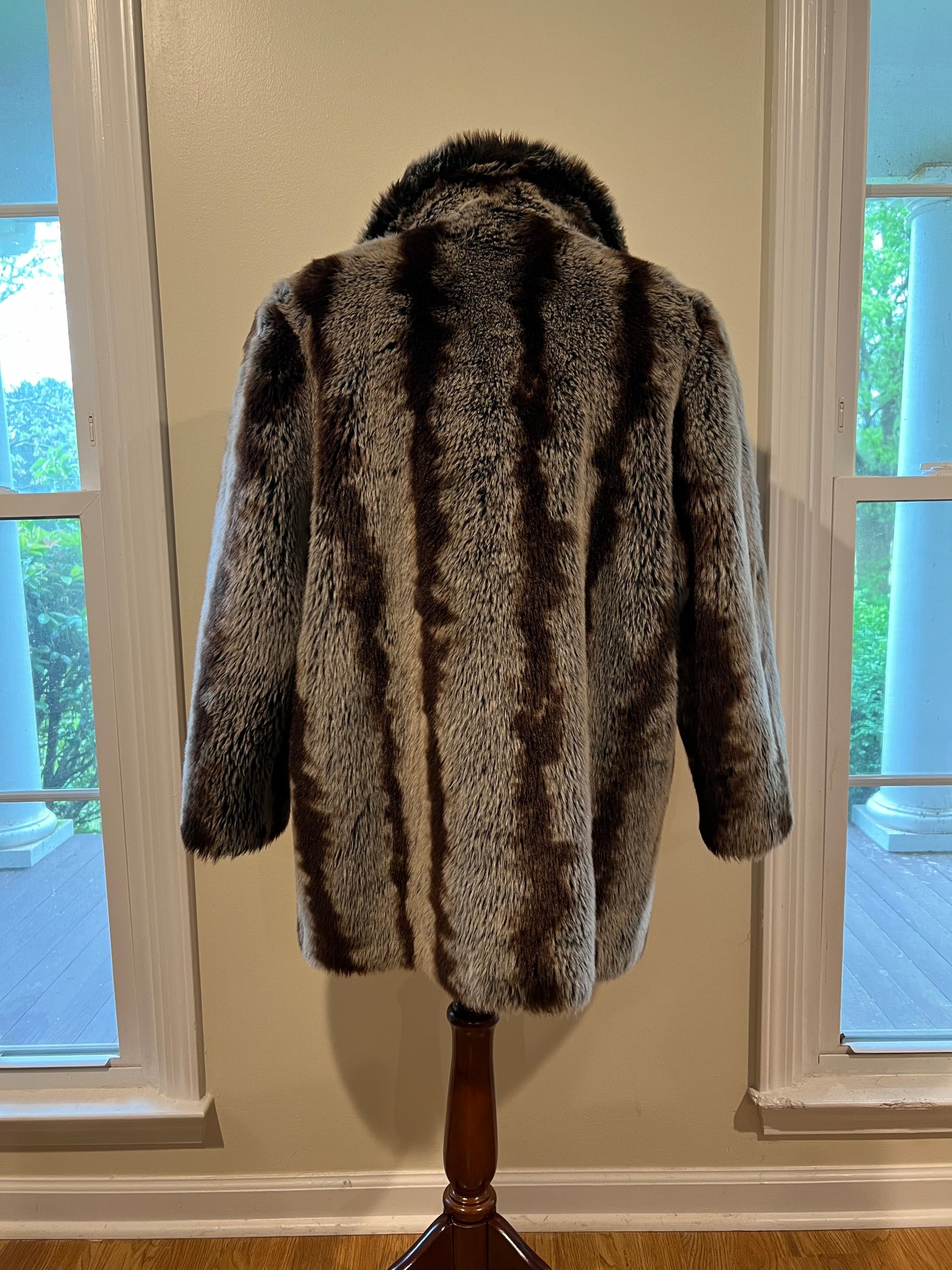 Fur Coat (Donna Salyers)