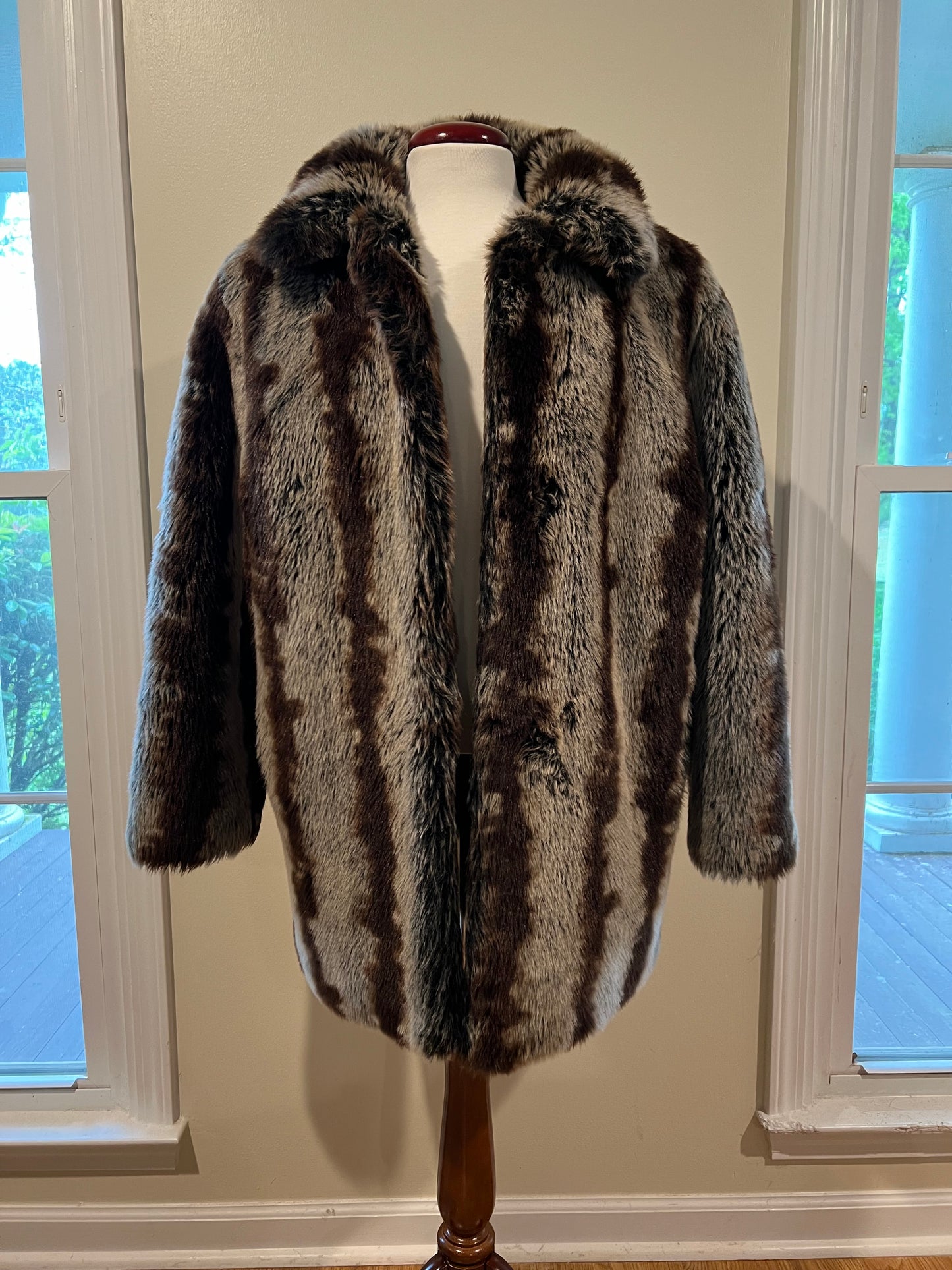 Fur Coat (Donna Salyers)